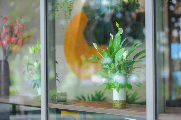 Voyage pays basque : découvrez l'art de vivre en luxe