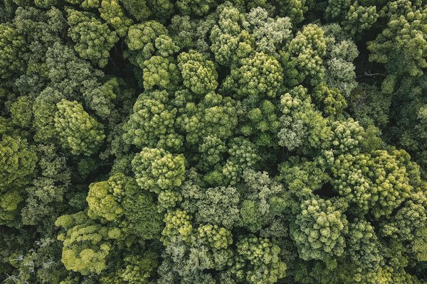 Photographe de mariage à nantes, moments authentiques capturés