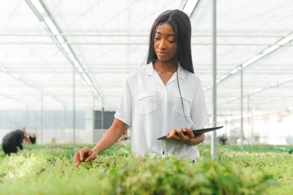 Découvrir les enjeux écologiques avec le blog écologie