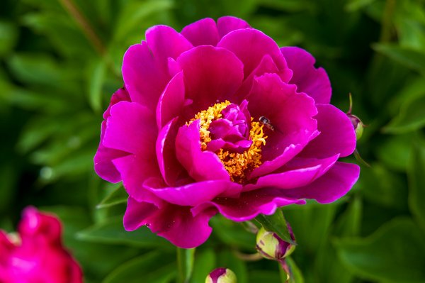 Greenzer : adoptez un mode de vie durable et éco-responsable